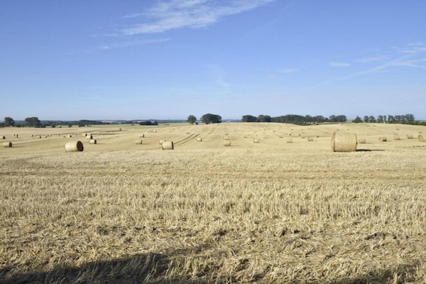 Foto van Landhuis met open haard - Vakantiehuis in Damshagen - AreaSummer5KM
