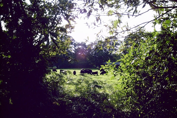 Foto van Ruime retraite met tuin - Vakantiehuis in Langlingen-Hohnebostel - AreaSummer5KM