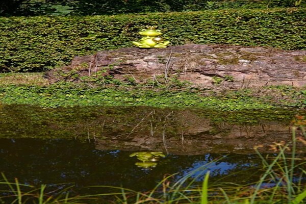Foto van Landhuis nabij kasteel Sababurg - Vakantiehuis in Trendelburg-Friedrichsfeld - AreaSummer20KM