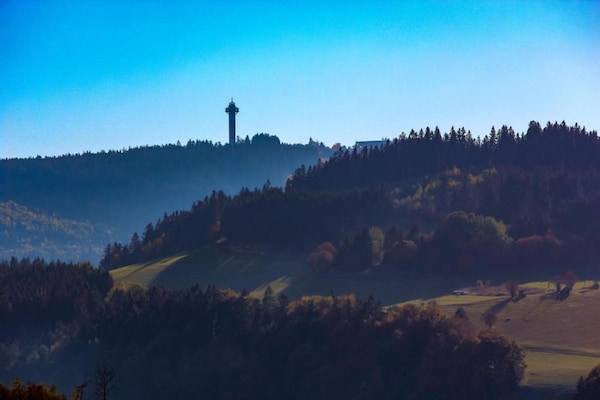 Foto van Vakantiehuis met terras in het skigebied - Vakantiehuis in Willingen (Upland) - AreaSummer5KM