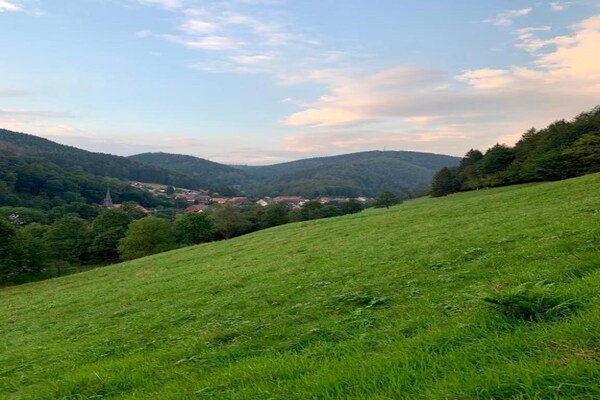 Foto van Harz-uitje in Lonau - Vakantiehuis in Herzberg am Harz - AreaSummer20KM