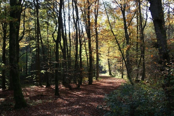 Foto van Bungalow bij Eifel Skilift - Vakantiehuis in Hinterhausen - Gerolstein - AreaSummer5KM