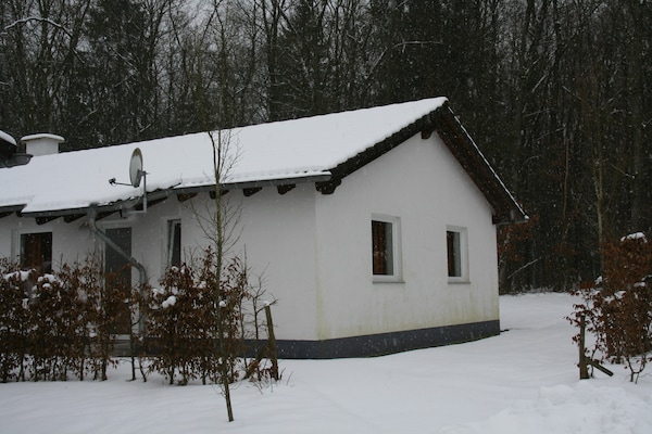 Foto van Bungalow bij Eifel Skilift - Vakantiehuis in Hinterhausen - Gerolstein - ExteriorWinter