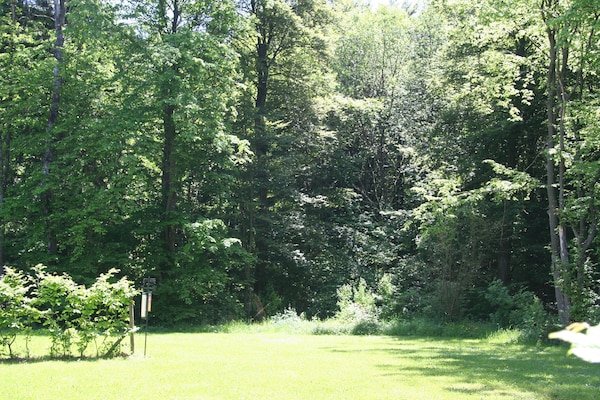 Foto van Bungalow in het Eifelpark met terras - Vakantiehuis in Hinterhausen - Gerolstein - AreaSummer1KM