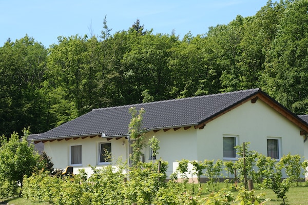 Foto van Bungalow in het Eifelpark met terras - Vakantiehuis in Hinterhausen - Gerolstein - ExteriorSummer