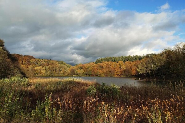 Foto van Auw Farm Life Escape - Vakantiehuis in Auw - AreaSummer20KM