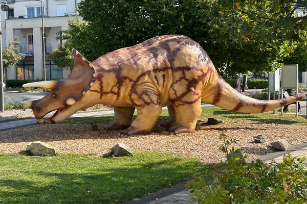 Foto van Vakantieappartement in herdersboerderij - Vakantiehuis in Olsdorf - AreaSummer1KM