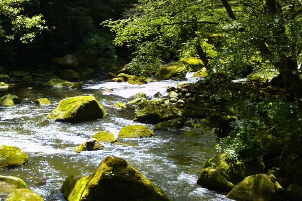 Foto van Vakantieappartement in herdersboerderij - Vakantiehuis in Olsdorf - AreaSummer5KM