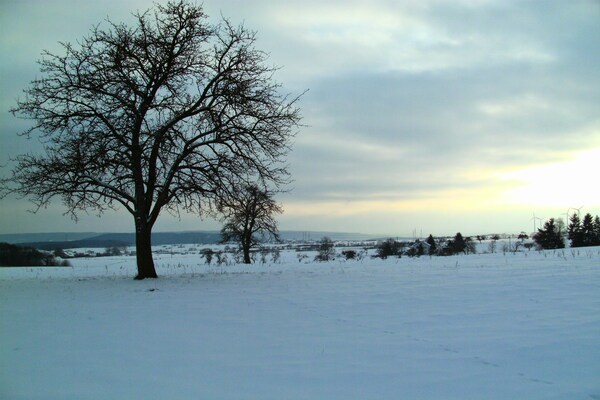 Foto van Vakantieappartement in herdersboerderij - Vakantiehuis in Olsdorf - AreaWinter5KM
