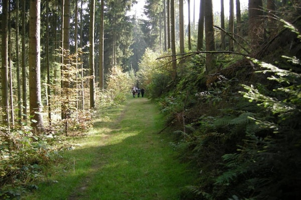 Foto van Bungalow op camping Waxweiler - Vakantiehuis in Waxweiler - AreaSummer20KM