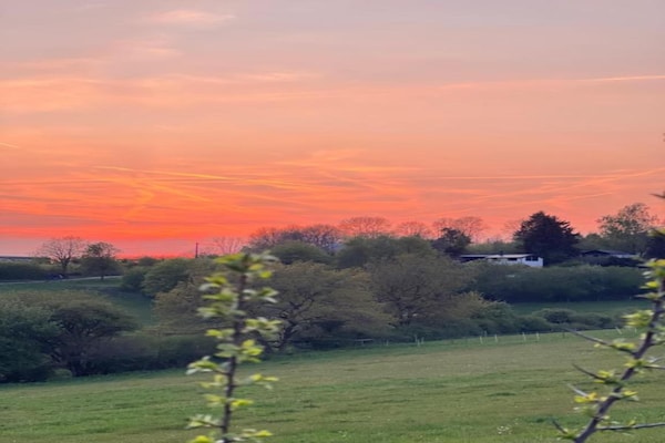 Foto van Bungalow op camping Waxweiler - Vakantiehuis in Waxweiler - AreaSummer20KM