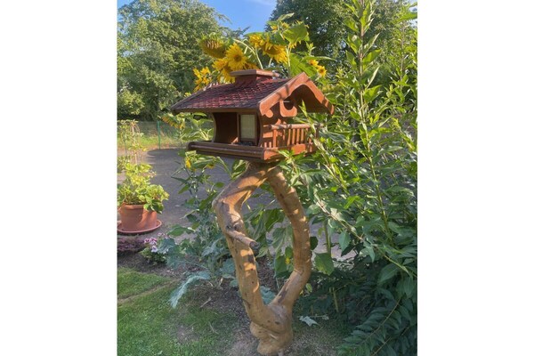 Foto van bij Gabi & Bernd - Vakantiehuis in Traben-Trarbach Wolf - Untagged