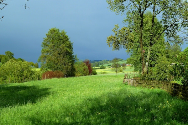 Foto van Vakantiehuis Schmallenberg vlakbij skibus - Vakantiehuis in Schmallenberg-Oberkirchen - AreaSummer20KM