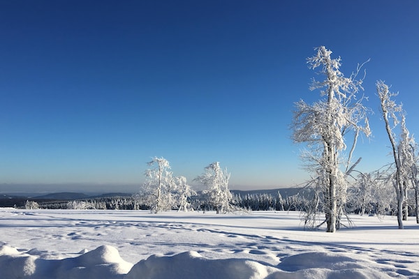 Foto van Appartement in Winterberg bij Skilift - Vakantiehuis in Winterberg - AreaWinter20KM