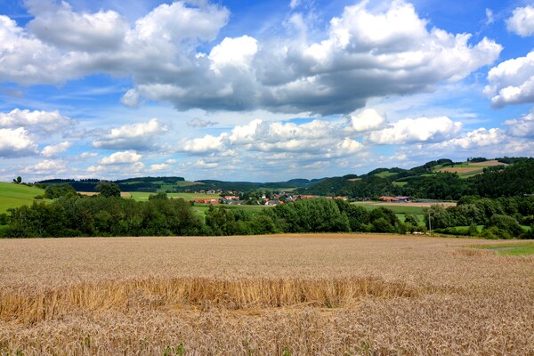 Foto van Charmantes Feriendomizil in Medebach - Vakantiehuis in Medebach - AreaSummer5KM