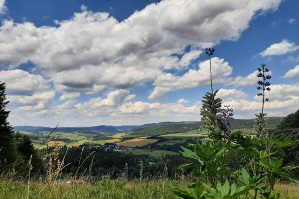 Foto van Charmantes Feriendomizil in Medebach - Vakantiehuis in Medebach - AreaSummer20KM
