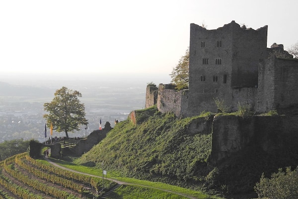 Foto van Breitmatthof nr. 3 - Vakantiehuis in Oppenau - Untagged