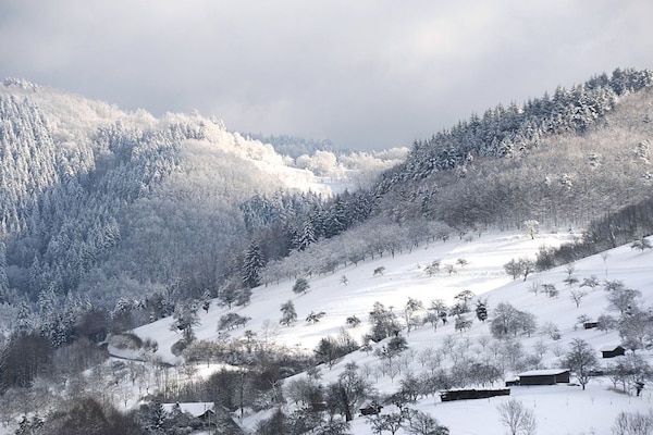 Foto van Breitmatthof nr. 2 - Vakantiehuis in Oppenau-Maisach - Untagged