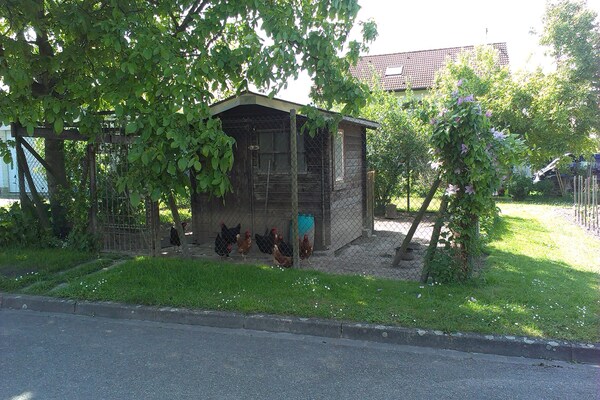 Foto van Appartement in Bischoffingen - Vakantiehuis in Vogtsburg-Bischoffingen - Facilities