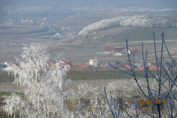 Foto van Appartement in Bischoffingen - Vakantiehuis in Vogtsburg-Bischoffingen - BedRoom