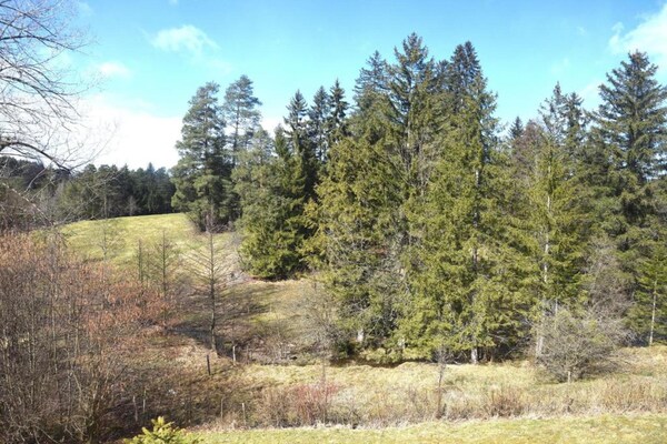 Foto van Alpine Escape & Speeltijd - Vakantiehuis in Nesselwang-Reichenbach - AreaWinter20KM