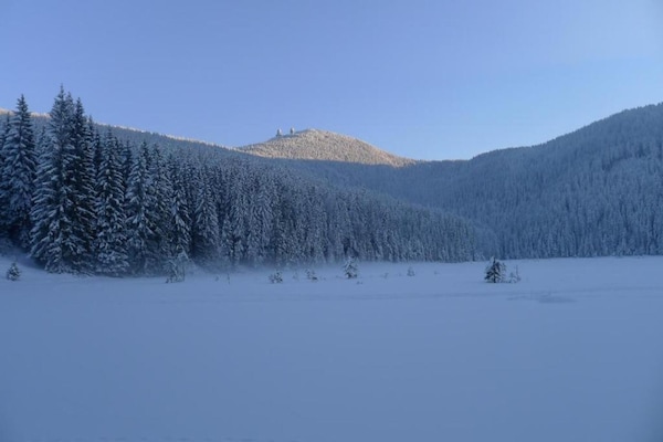 Foto van Gezellig toevluchtsoord in het Beierse Woud - Vakantiehuis in Arrach - AreaSummer20KM