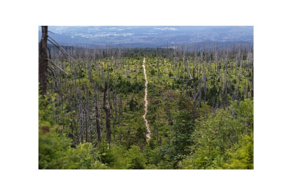 Foto van in het landhuis in het nationaal park - Vakantiehuis in Lindberg - Untagged