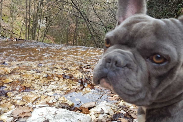 Foto van Iris Comfortabele vakantiewoning - Vakantiehuis in Walsdorf - Untagged