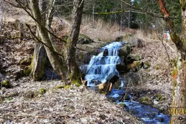 Foto van Vakantiehuis in Wieda met tuin - Vakantiehuis in Wieda - AreaSummer5KM
