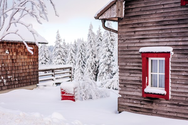 Foto van Twee-onder-een-kapwoningen, turfhuis - Vakantiehuis in Torfhaus - ExteriorWinter