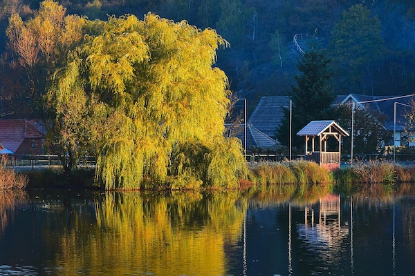 Foto van Blokhut, Hasselfelde - Vakantiehuis in Hasselfelde - AreaSummer5KM