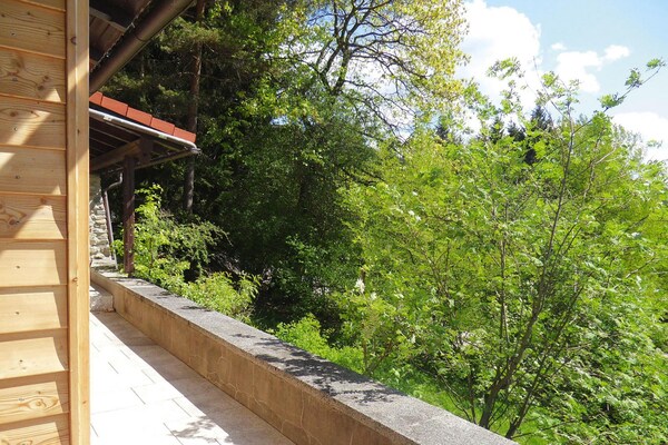 Foto van Blokhut in Rinchnach met panoramisch uitzicht - Vakantiehuis in Rinchnach - terrace