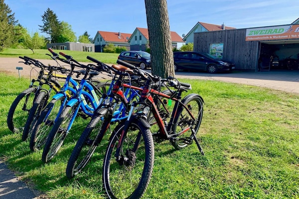 Foto van Vakantiehuis M�ritzzeit in Duitsland - Vakantiehuis in Röbel an der Müritz - ParkFacilities