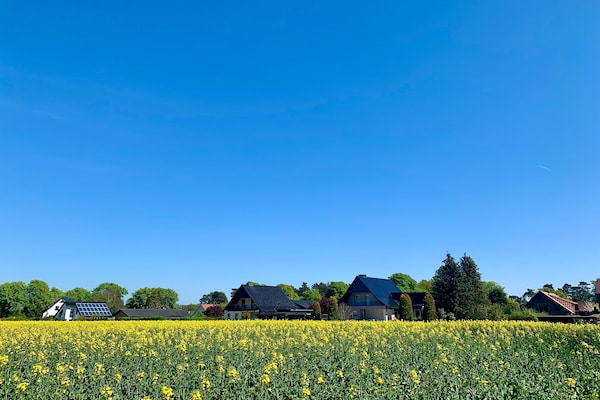Foto van Vakantiehuis M�ritzzeit in Duitsland - Vakantiehuis in Röbel an der Müritz - AreaSummer1KM