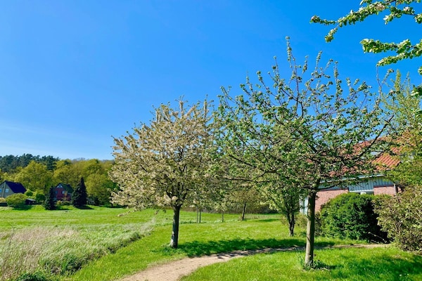 Foto van Vakantiehuis M�ritzzeit in Duitsland - Vakantiehuis in Röbel an der Müritz - GardenSummer