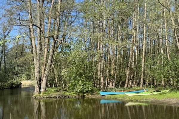 Foto van Vakantiehuis Seeadler aan het Vilzermeer in Mirow - Vakantiehuis in Mirow - AreaSummer5KM