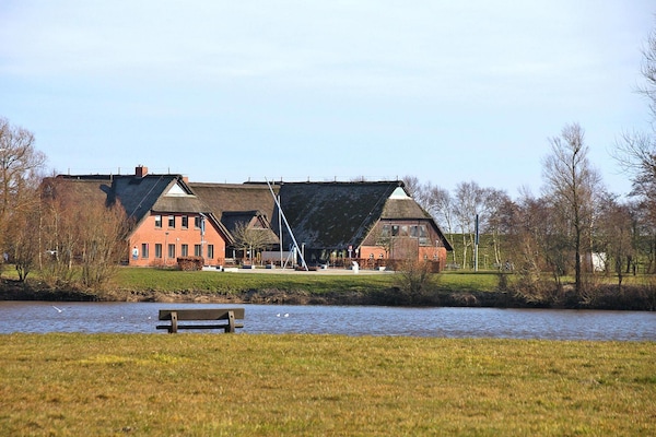 Foto van Bungalow Arielle, Dornumersiel - Vakantiehuis in Dornumersiel - ExteriorSummer