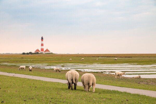 Foto van Vakantieappartement, St. Peter-Ording - Vakantiehuis in St. Peter-Ording - AreaSummer5KM
