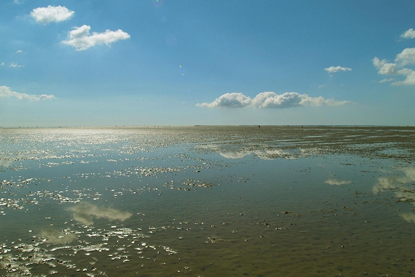 Foto van Vakantieappartement in Wyk auf Föhr - Vakantiehuis in Wyk auf Föhr - WaterView
