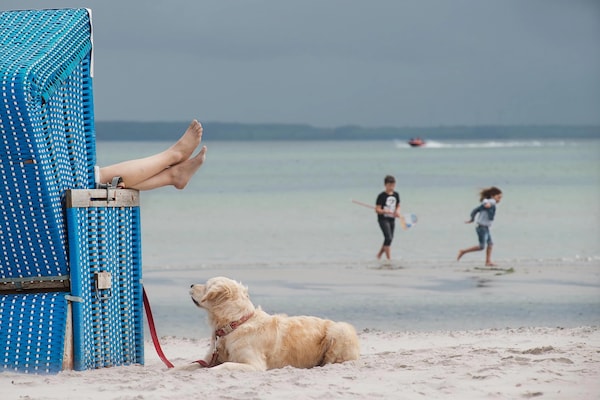 Foto van Rijtjeshuis in de badplaats Dampland aan de Oostzee - Landing