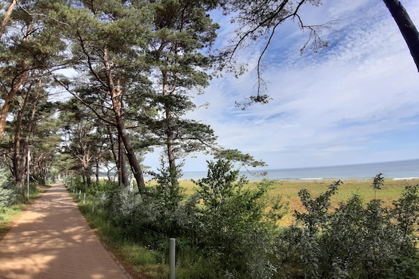Foto van Vakantieappartementen in Seepark Sellin - Vakantiehuis in Sellin - AreaSummer5KM