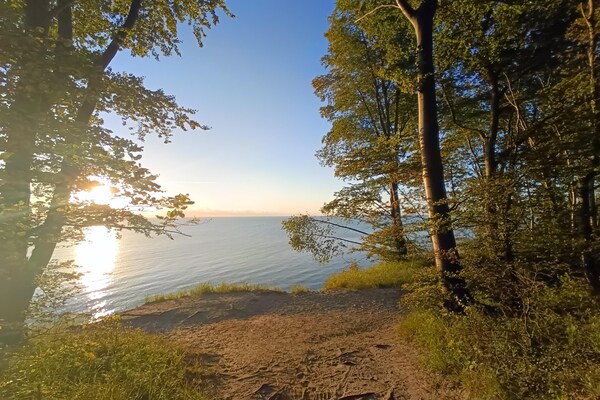 Foto van Comfortabel vakantieappartement in Seepark Sellin - Vakantiehuis in Sellin - AreaSummer1KM