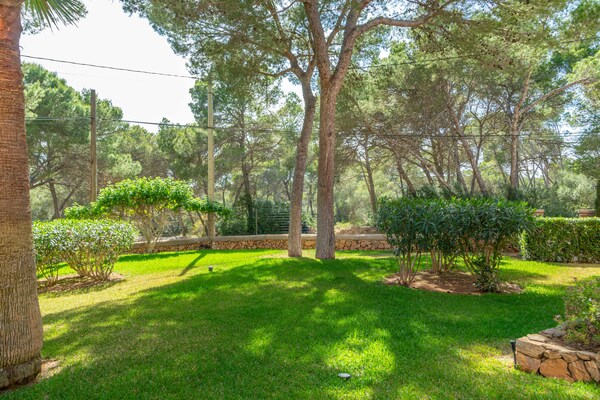 Foto van Barca Trencada (a3) - Apartamento Con Wifi Gratis - Vakantiehuis in Porto Petro, Illes Balears - 