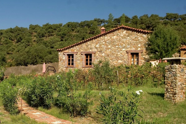 Foto van El Águila, Stenen Huisje - Vakantiehuis in Alájar - ExteriorSummer