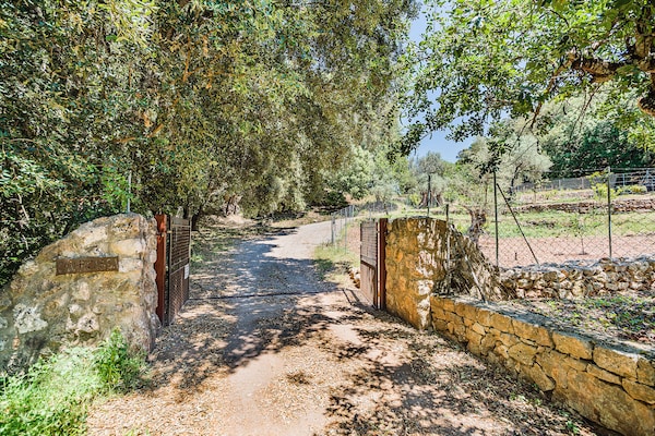 Foto van Bergvilla met groot zwembad - Vakantiehuis in Pollensa / Pollença - HallReception