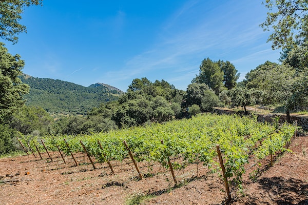 Foto van Bergvilla met groot zwembad - Vakantiehuis in Pollensa / Pollença - AreaSummer1KM