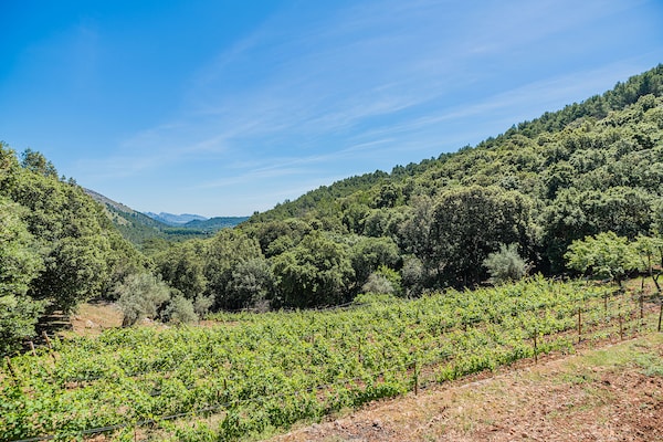Foto van Bergvilla met groot zwembad - Vakantiehuis in Pollensa / Pollença - AreaSummer1KM