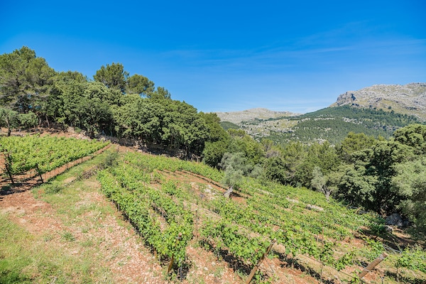 Foto van Bergvilla met groot zwembad - Vakantiehuis in Pollensa / Pollença - AreaSummer1KM