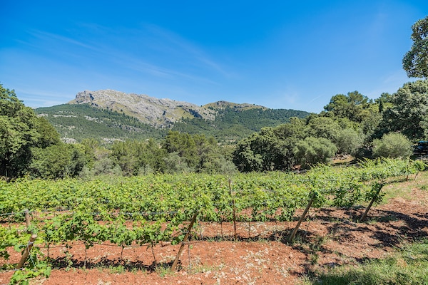 Foto van Bergvilla met groot zwembad - Vakantiehuis in Pollensa / Pollença - AreaSummer1KM