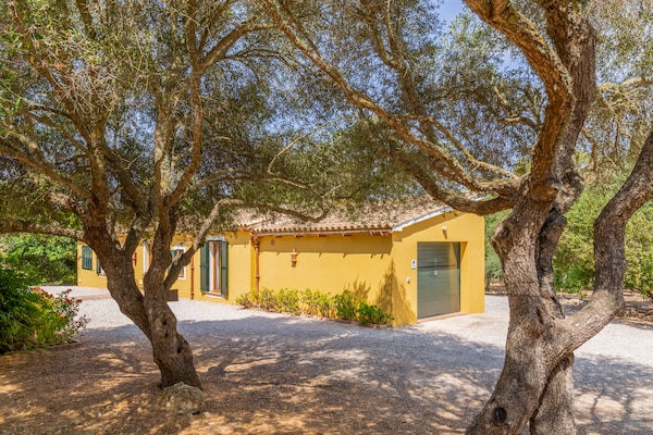 Foto van Verbluffende Ses Cases in Manacor - Vakantiehuis in Manacor - ExteriorSummer